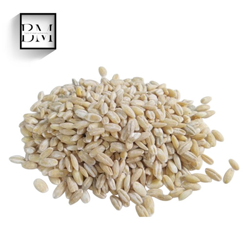 جوپوست کنده